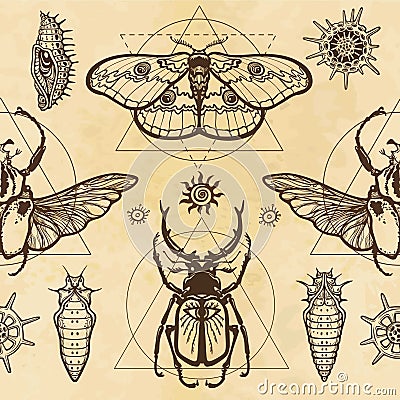 Seamless color pattern: image of a butterfly, larva, bug Goliath, horned bug, sacred geometry. Vector Illustration