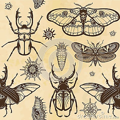 Seamless color pattern: set of insects, butterflies, bugs, larvae. A background - imitation of old paper. Vector Illustration