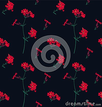 Saponaria officinalis on a black background Vector Illustration