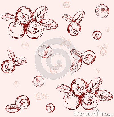 Seamless cranberry pattern Vector Illustration