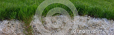 Seamless cross section of grass and cement Stock Photo