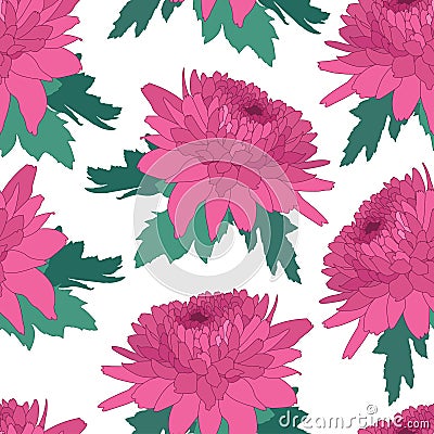 Seamless decorative pattern with pink chrysanthemum. Crown daisy repeated background. Vector Vector Illustration