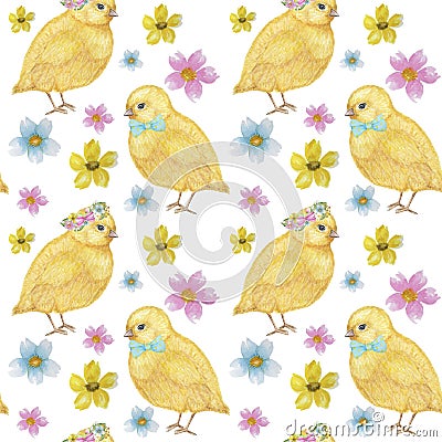 Seamless Easter pattern Watercolor hand drawn of yellow chiken, Spring flowers, willow, bow. Colorful bird, chikens baby Stock Photo