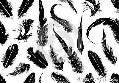 Seamless feathers Vector Illustration