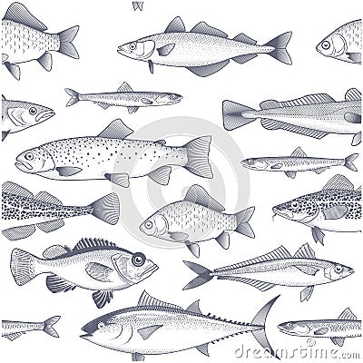 Seamless fish background, pattern of tuna, trout, mackerel and other commercial fish and seafood wallpaper Vector Illustration