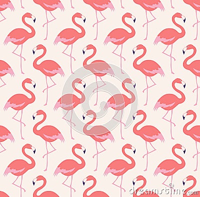 Seamless flamingo birds pattern Vector Illustration