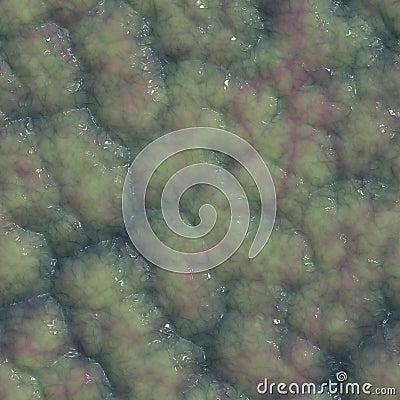 Seamless flesh texture Stock Photo