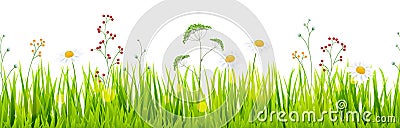 seamless floral grass panorama background Vector Illustration