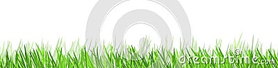 seamless floral grass panorama background Vector Illustration