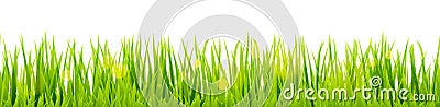 seamless floral grass panorama background Vector Illustration