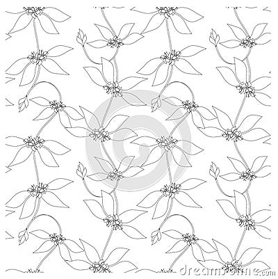 Seamless floral monochrome pattern Vector Illustration