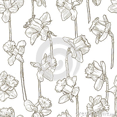 Seamless floral narcissus pattern. Line illustration for fabric wrapping prints cards wedding design in vintage style Vector Illustration