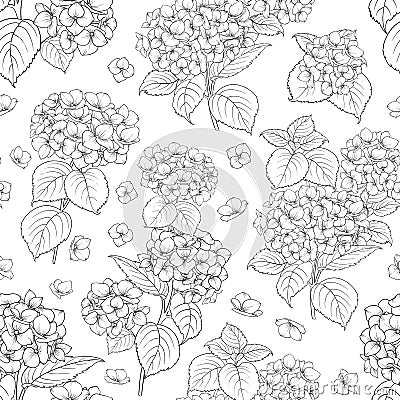 Seamless floral pattern with hydrangea. Vector illustration. Vector Illustration