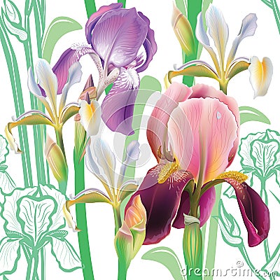 Seamless floral pattern with irises Vector Illustration