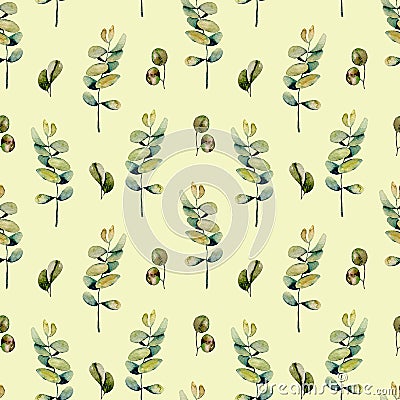 Seamless floral pattern with watercolor eucalyptus branches Stock Photo