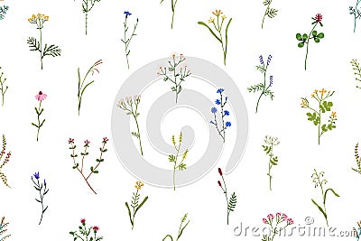 Seamless floral pattern. Wild flowers and herbs background. Romantic botanical print with field blooms. Repeating Vector Illustration