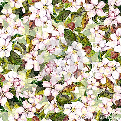 Seamless floral repeated template with blooming flower - pink apple blossom. Watercolor hand painting Stock Photo