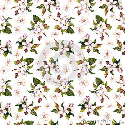 Seamless floral template with aquarelle painted apple and cherry flower blossom isolated on white background Stock Photo