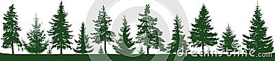 Seamless forest fir trees silhouette. Parkland, park, garden. Vector Illustration