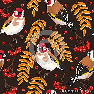 Seamless goldfinch and rowan Vector Illustration