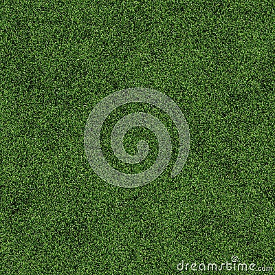 Seamless grass texture Stock Photo