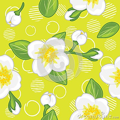 Seamless green pattern with blooming jasmine Vector Illustration