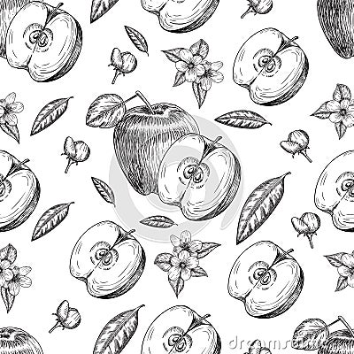 Seamless of hand drawn apple. Vintage sketch style illustration. Organic eco food. Whole , sliced pieces half,leaves and Vector Illustration