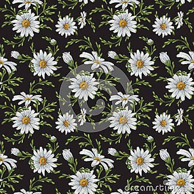 Seamless hand drawn pattern with white chamomiles. Flower background for textiles, fabrics, banner, wrapping paper and other Cartoon Illustration