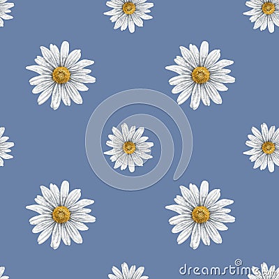 Seamless hand drawn pattern with white chamomiles. Flower background for textiles, fabrics, banner, wrapping paper and other Cartoon Illustration