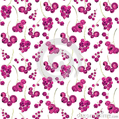 Seamless hand drawn watercolor pattern of sprigs pink currant with bunch of berries on white background. Stock Photo