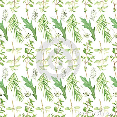 Seamless herbal pattern with watercolor green flavouring dill, parsley, arugula, rosemary Stock Photo