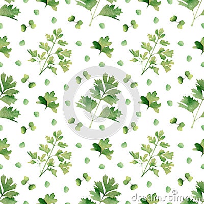 Seamless herbal pattern with watercolor green flavouring parsley for kitchen decor and textile Stock Photo