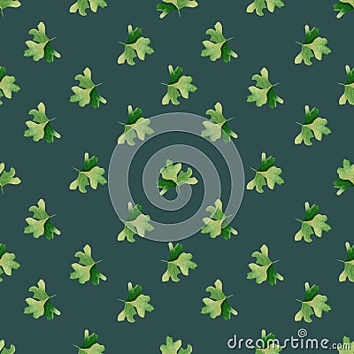 Seamless herbal pattern with watercolor flavouring parsley on green background Stock Photo