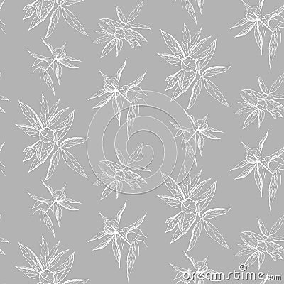 seamless ink peony flower pattern on gray backdrop. Engraved vintage peony wallpaper. elegant white line peony on gray background Cartoon Illustration