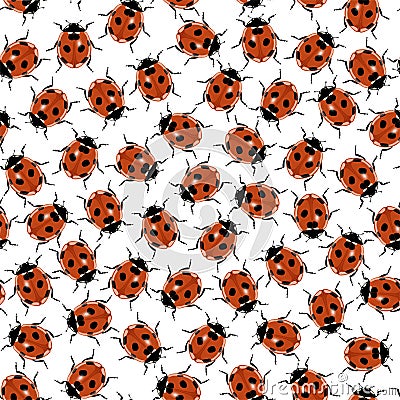 Seamless ladybug pattern isolated Vector Illustration