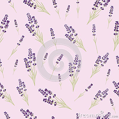 Seamless lavender pattern on purple background Vector Illustration