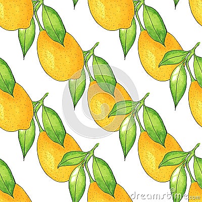 Seamless Lemon tree branch, watercolor painting on white background, illustration. Cartoon Illustration