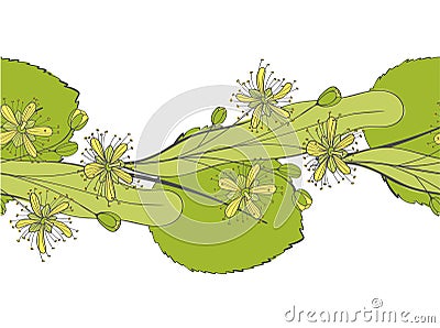 Seamless linden pattern. Ornament of a branch of a Tilia tree. Background of a basswood. Limetree or tree. Stock Photo