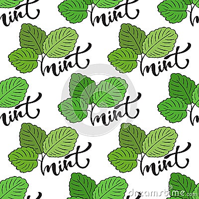 Seamless mint leaf pattern. Vector print for healthy product packaging design Vector Illustration