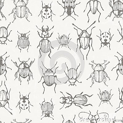 Seamless monochrome pattern with bugs Vector Illustration