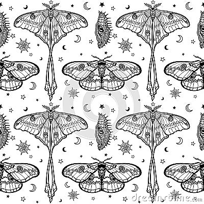 Seamless monochrome pattern: Tropical butterflies, larvae, symbols of the moon. Vector Illustration