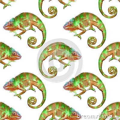 Seamless patern with chameleons. Cartoon Illustration