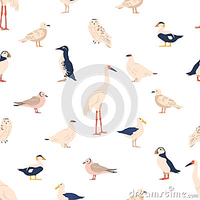 Seamless Pattern Adorned With Arctic Birds, Puffin, Snowy Owl, Arctic Tern, Common Eider, Guillemot, Sanderling, Gull Vector Illustration