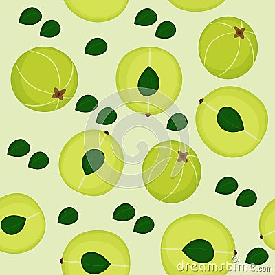 Seamless pattern with amla, indian gooseberry on green background. Cosmetics, ayurvedic and medical plant. Vector Vector Illustration