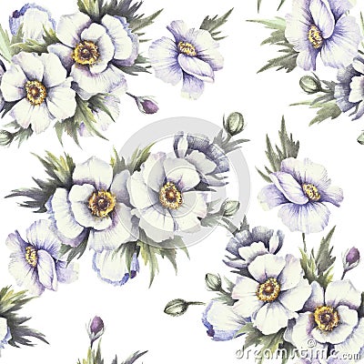 Seamless pattern with anemones. Hand draw watercolor illustration Cartoon Illustration