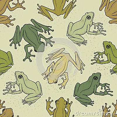 Seamless pattern with asian tree frogs. Vector illustration Vector Illustration