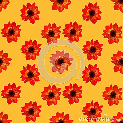 Seamless pattern of asters on yellow. Seamless floral pattern of gouache paints. Beautiful original pattern for design and Stock Photo