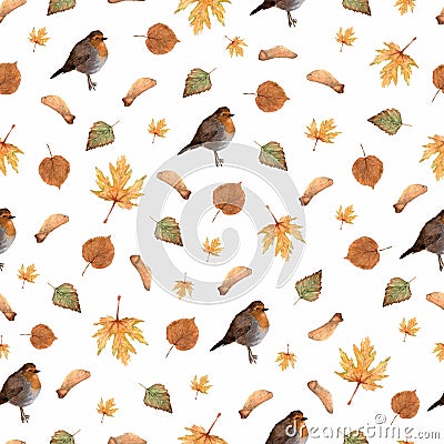 Seamless pattern with autumn leaves and little Robin bird.Colorful illustration.Watercolor handpainted texture on white background Cartoon Illustration