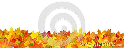 pattern of autumn leaves horizontal background Stock Photo