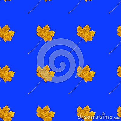 Seamless pattern with autumn yellow leaves on blue color Stock Photo